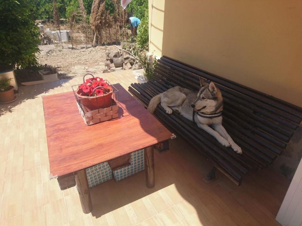 Formentera de Segura Casita Entre Naranjasヴィラ エクステリア 写真